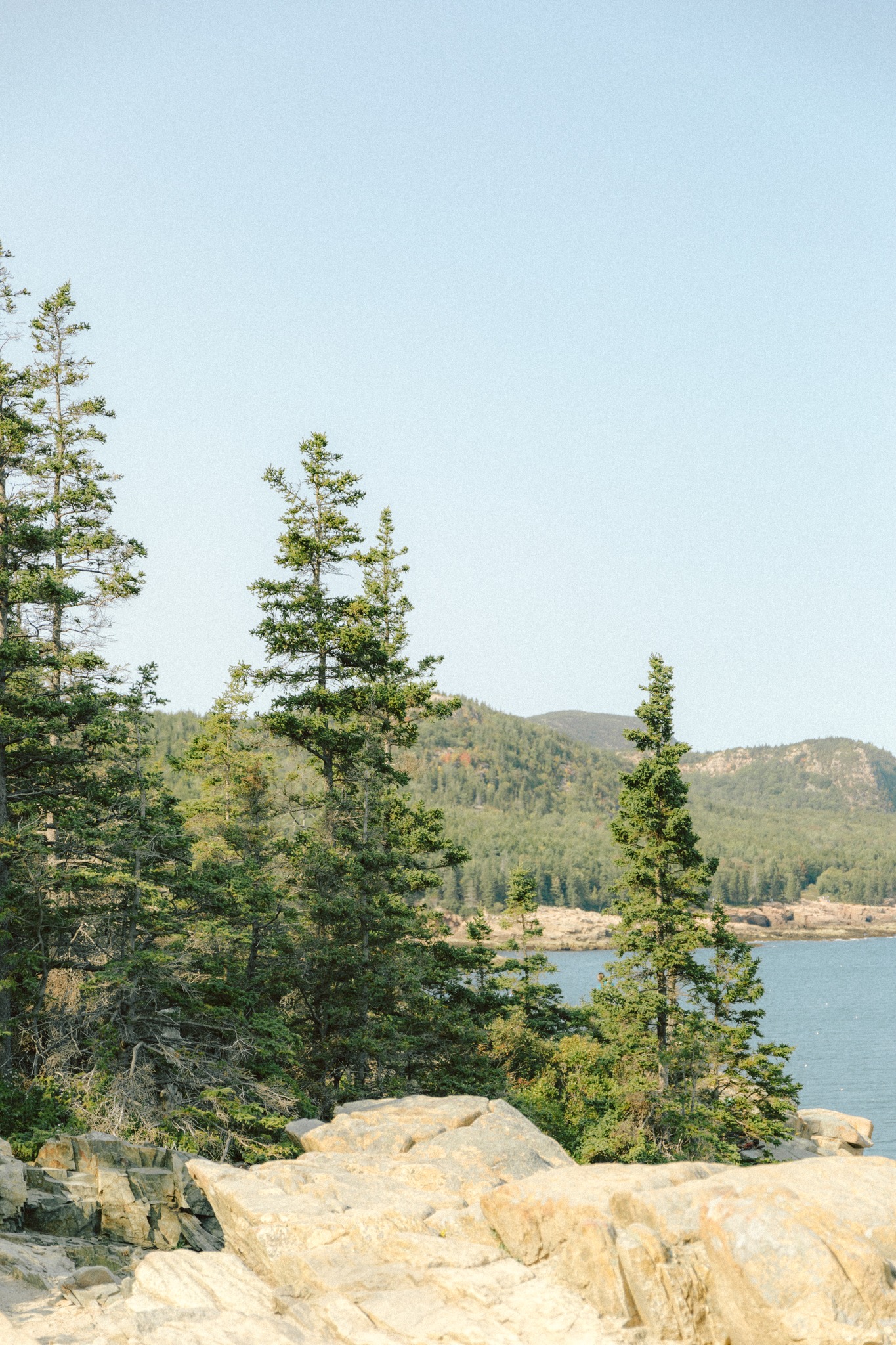 View of the ocean at Otter Cliff at Acadia National Park